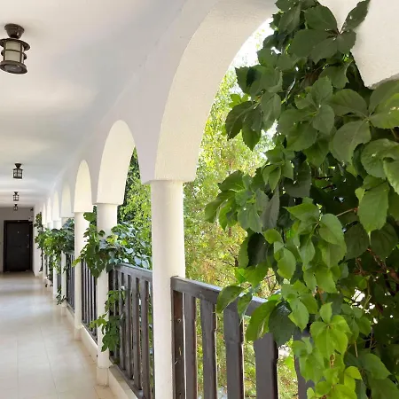 комплекс «топ» * Sveti Vlas