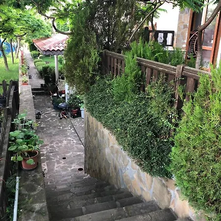 комплекс «топ» Apartment